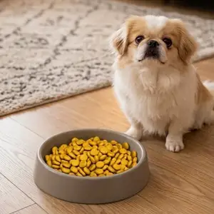 Pet Bowl