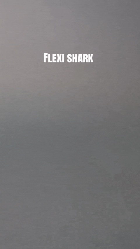 FLEXI WHALE SHARK