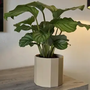 Planter