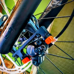 Caliper plug