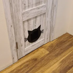 Cat door without a curtain