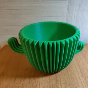 Cactus Flower Pot