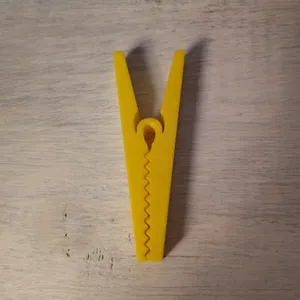 Clothespin (or bag clip)