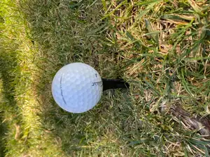 Golf Tee