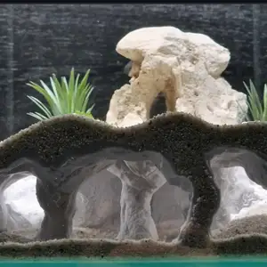 grotte aquarium naturel