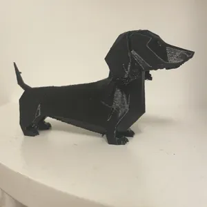 Cali-dachshund