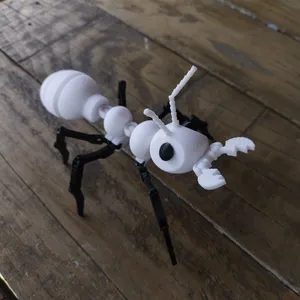 ant