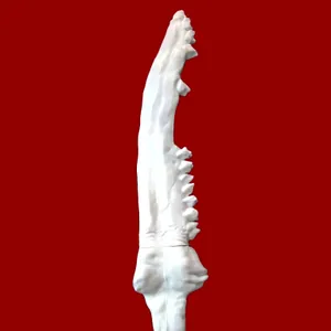First Blade (Supernatural)