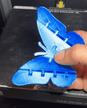 butterfly flexi