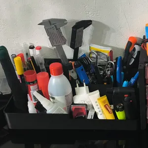 organizador