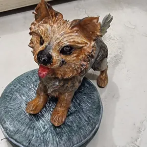 Yorkshiire Terrier