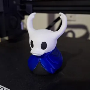Hollow knight duck