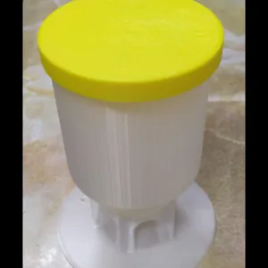 Bird Feeder