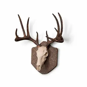 HUNTING TROPHY - DEER