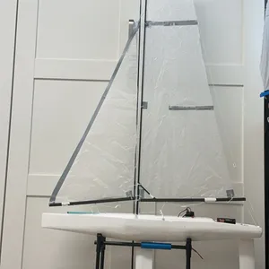 RC sailboat