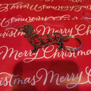 dashung keychain