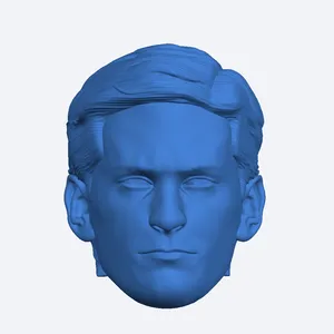 peter headsculpt