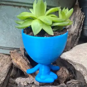 Macetas Robert Plants