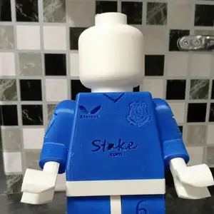 Everton FC lego like man