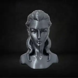 FACE OF A LADY