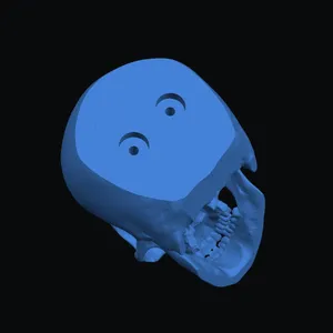 Skull with holes to use as a door handle