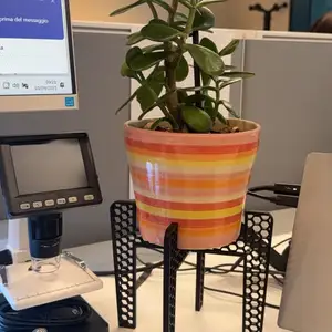 Vase Suppor 12Cm
