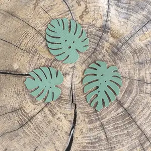 monstera leaves