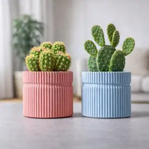 BLACK PLANT POT FOR SUCCULENT PLANT