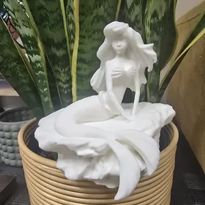 little mermaid