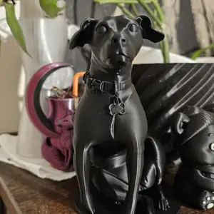 Manchester Terrier Dog Harley