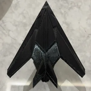 F-117A Nighthawk Stealth Fighter ❤️