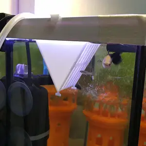 Feeding trough in the aquarium for worms