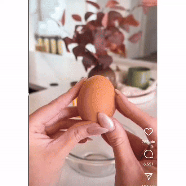 Egg Seperator