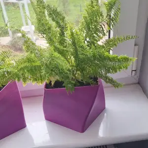 plant pots