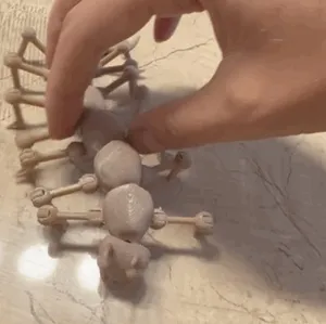 Flexi centipede