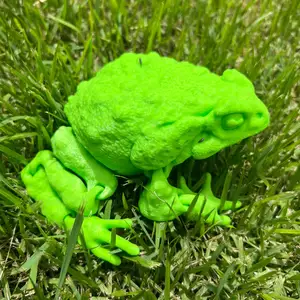 Frog