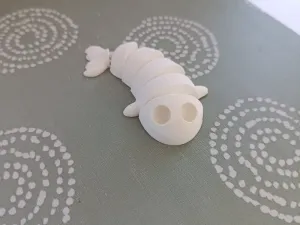 Flexi fish