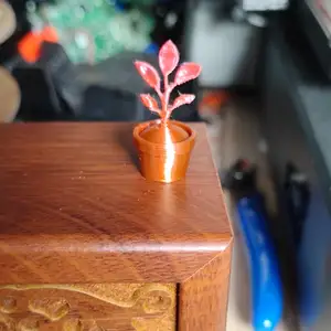 Tiny Sprout in a Pot